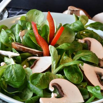 VEGAN FOOD